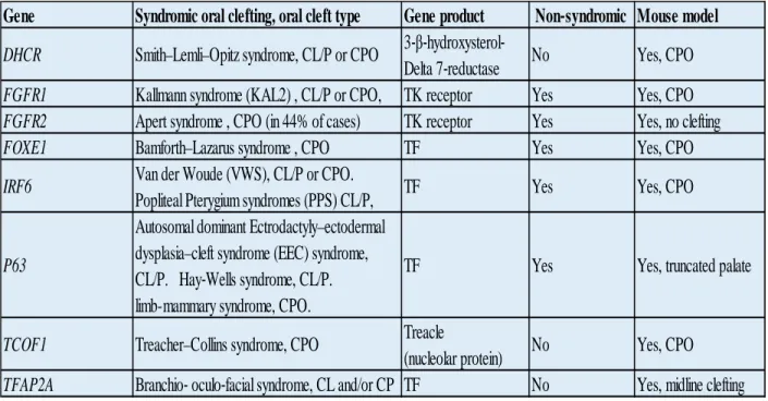 Table 1.3. Examples of syndromic CP in humans. Note that the mouse model in some examples has either no cleft  phenotype or different phenotype than human species