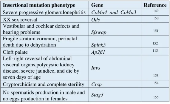 Table 2.1. Murine insertional mutations are helpful to understand developmental processes