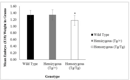 Figure 2.7. Average E18 embryo weights. OVE1328 (Tg/Tg)  embryos weighed ~ 13% less (P<0.001) than Wt and OVE1328  (Tg/+) embryos of same gestational age