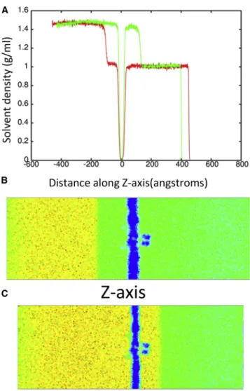 FIGURE 3 (A) Shows the solvent density during shock wave simulation (piston velocity 1000 m/s) at 17 ps (red) and 25 ps (green)