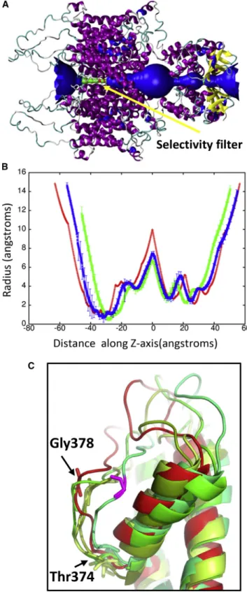 FIGURE 7 (A) Shows the solvent density during shock wave simulation (piston velocity 500 m/s) with a 100 A ˚ radius void at 24 ps (red), 28.5 ps (green), and 33 ps (blue)