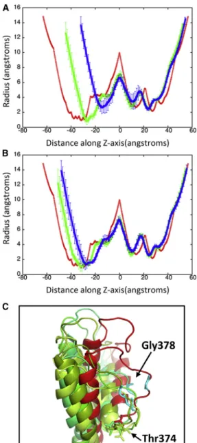 FIGURE 10 (A) Pore radius along the Z axis for Kv1.2 in the crystal structure (red, PDB: 3LUT) and at time 37 ps (green) and 50 ps (blue) for shock wave simulation at 500 m/s piston velocity