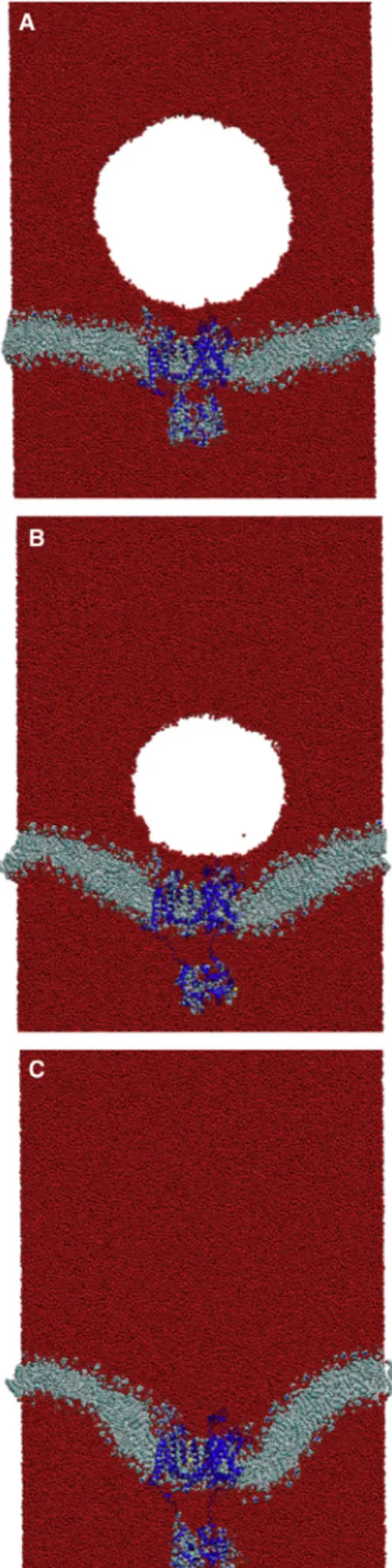 FIGURE 12 (A) Void collapse simulation without a shock wave at 400 ps. (B) The void has reduced to a radius of 85 A ˚ 