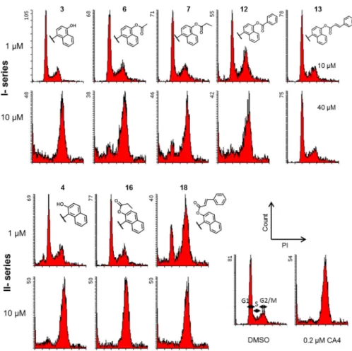 Figure 2. Induction of cell cycle arrest at G2/M