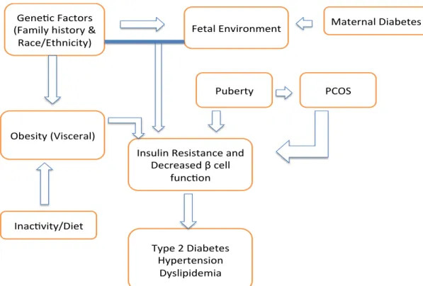 Figure 1. Risk factors involved in insulin resistance and T2DM development 