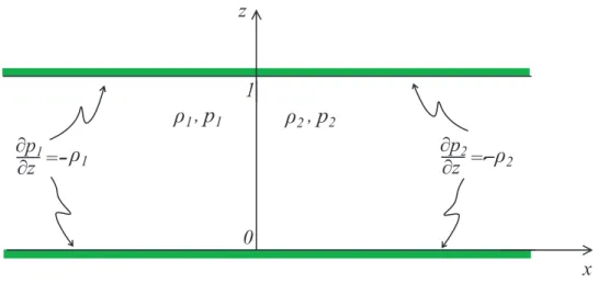 Figure 2.11: Dam-break configuration for a two-fluid density distribution. The pressure is everywhere continuous (and so, ∂ z p 1 = ∂ z p 2 at the interface x = 0) with the jump condition for its normal derivative at the interface ∂ x p 1 = (ρ 1 /ρ 2 )∂ x 