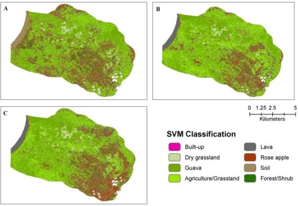 Figure 2.4  Results of SVM parameter testing. With a penalty value of 0 (A), the SVM failed to generalize  well