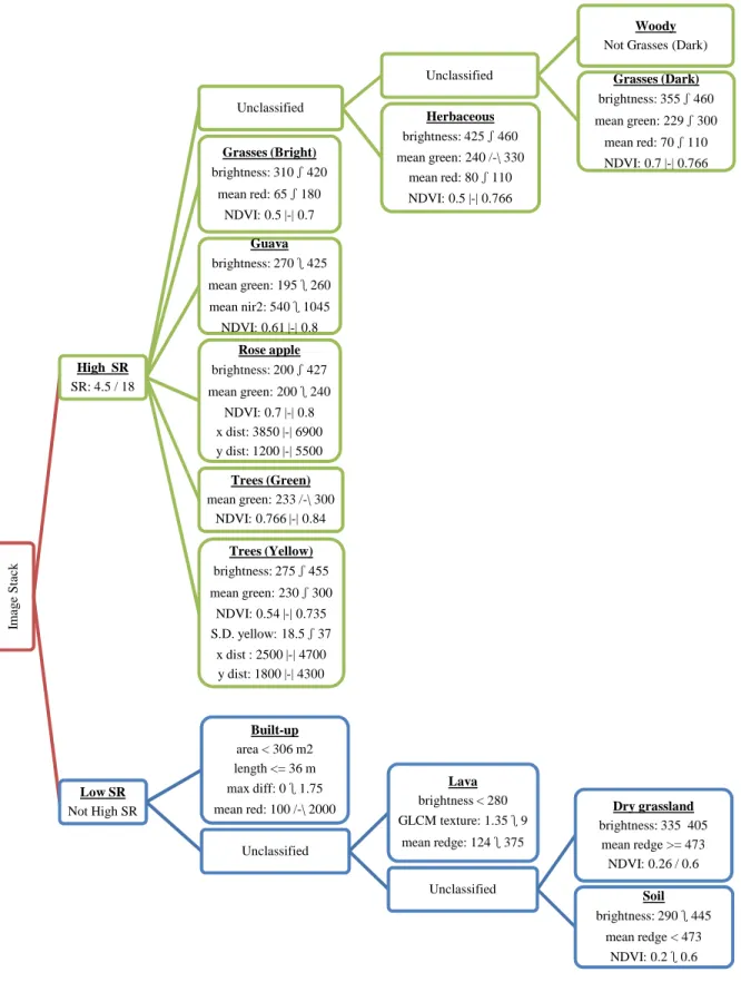 Figure 2.6  OBIA classification flow chart. Blue boxes indicate classes applied at level 1, green at level 2