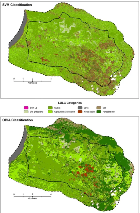 Figure 2.7  SVM (top) and OBIA (bottom) classification maps. White areas indicate clouds