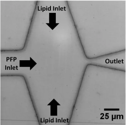 Figure 4.1: Microfluidic Device Layout