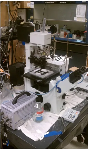 Figure 4.3: Microfluidic Device Testing Setup
