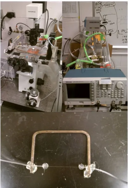 Figure 4.5: Acoustic Droplet Vaporization Testing Setup