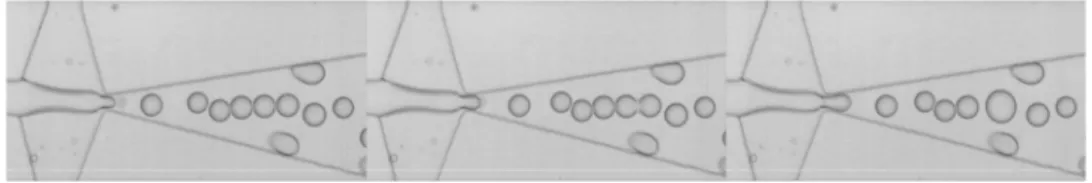Figure 5.4: Initial Coalescence
