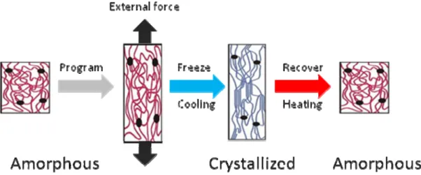 Figure 1.5 Shape memory cycle.  Sample is melted at stress free stage (high 