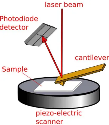 Figure 2.5 Atomic Force Microscopy. Schematic of an atomic force microscope. The  laser reflects off an oscillating tip which deflects as it moves over the surface