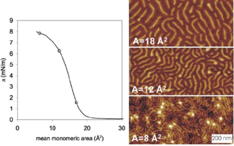 Figure 2.6 Stability of PDMA brush at water surface.  ( a) two cycles of isotherms for  PDMA brushes(Mn=2.46 x 10 6 ) from 0 to 7mN/m