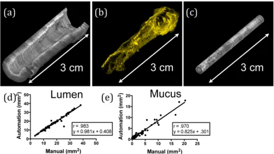Fig. 7. Results from manual segmentation. (a-c) Volumetric representations from a  representative airway segmented using the automated methods are shown for (a) lumen, (b)  mucus, and (c) sheath