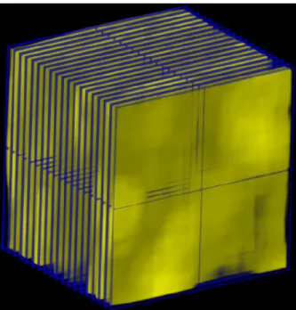 Fig. 6. Representation of how mucus analysis is performed volumetrically. The mucus was  divided into 3D slices 50x50 pixels in area and 5 frames thick (Represented by blue  wireframe), and a mean filter 6x6x2 in size was used to reduce the effect of speck