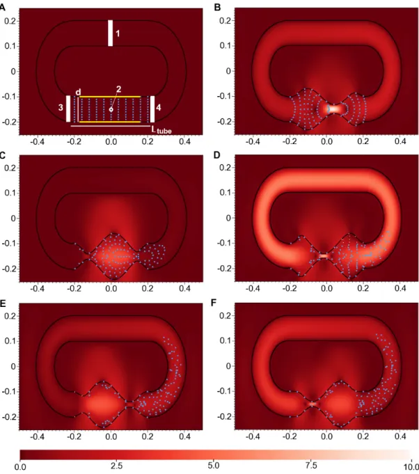 Figure 1. Panels showing racetrack circulatory system and compression region with speed across the simulation area (background color) and light-blue flow marker particles