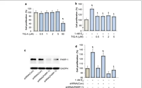 Figure 1 Effect of PARP inhibition on Epuntreated controls; 2-stimulated growth of MCF-7 cells