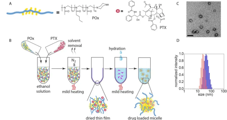 Figure 2. Construction and physicochemical properties of PTX nanoformulations