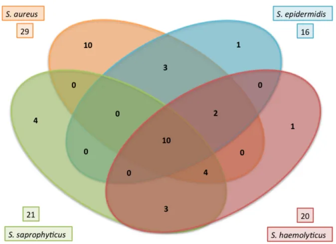 Figure  3.2.  Carbohydrate  Transport  Protein  Conservation  Amongst  the  Staphylococci