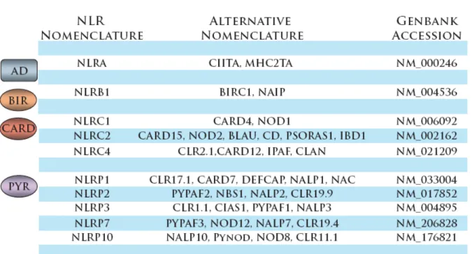 Table 1.1 - NLRs discussed in this dissertation, classified by effector domain 