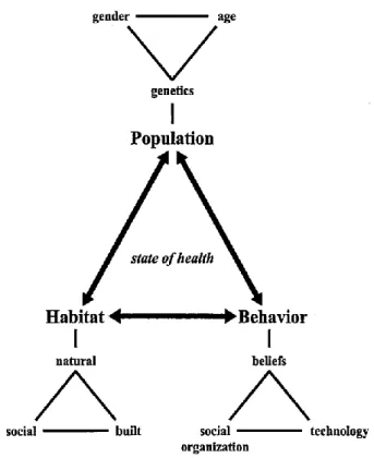 Figure 1 The triangle of human ecology (Meade and Emch, 2010, p. 31)