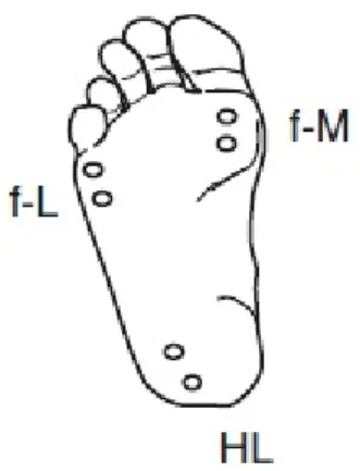 FIGURE 4.1: NAKAJIMA ET AL. (2006) STIMULATION SITES 