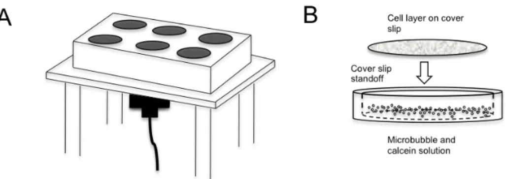 Figure 3.2: (A) The in vitro setup consisted of a 1 MHz transducer positioned under- under-neath a six well plate with soft membrane bottom