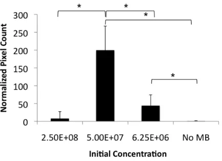 Figure 3.5: (A) 4 µm microbubbles tested at the peak concentration for 1 µm microbub- microbub-bles did not show the same enhanced sonoporation effect