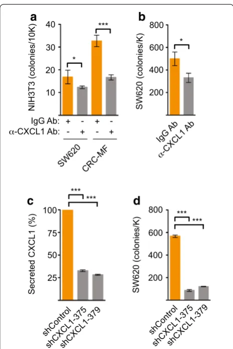 Figure 4 Induction of anchorage‑independent growth by SW620 and CRC‑MF conditioned media was dependent on CXCL1