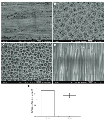 Figure 1 Scanning electron microscopic images of (A) a smooth alumina surface, (B and C) nanoporous alumina surfaces with pore diameters of 20 nm and 100 nm, respectively; (D) a cross-sectional scanning electron microscopic image of nanoporous alumina with 100 nm pores, and (E) surface contact area of alumina with different pore sizes.