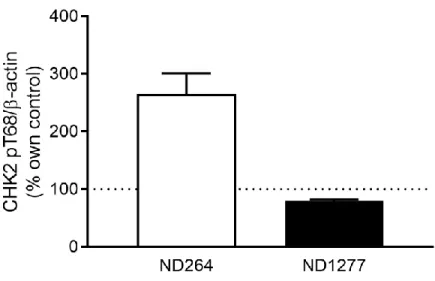 Figure 4. CHK2 pT68 activation in 2 LRRK2 G2019S cell lines (ND00264 and ND01277) normalized  to -actin as a percent control measure