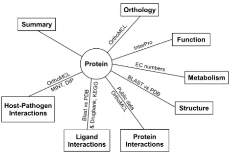 Figure 1tionthe Discovery system, together with the sources of informa-A represenation of the major protein features displayed in A represenation of the major protein features dis-played in the Discovery system, together with the sources of information.