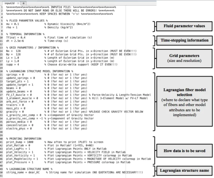 Figure 6: Descriptions of selections in input2d. This file controls what inputs get passed to the main IB driver method.