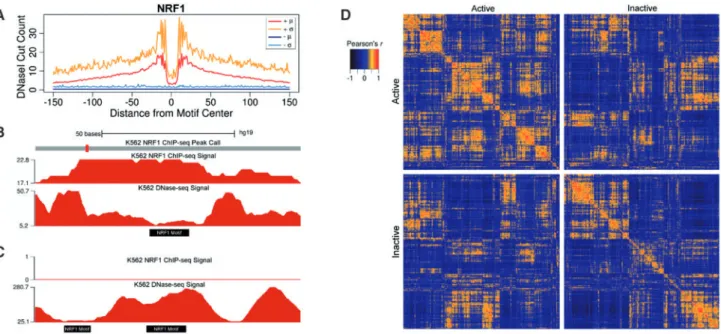 Fig. 1. Within and between class variability in DNaseI digestion signal at motif sites
