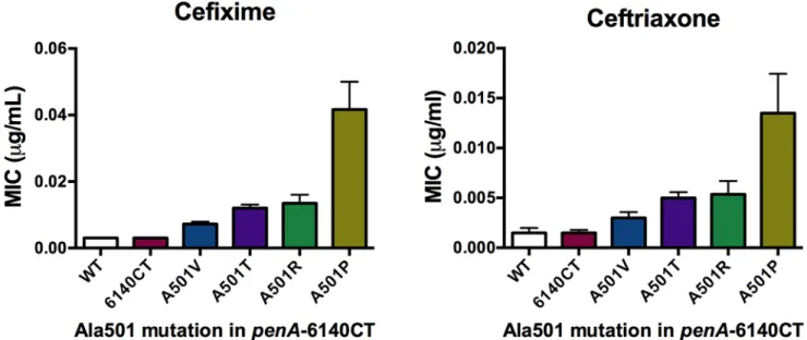 Figure 4. MICs of cefixime and ceftriaxone for FA19 alone or FA19 harboring penA6140CT- penA6140CT-Ala501 mutant alleles