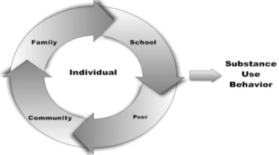 Figure 2.1 Conceptual model for youth substance use behavior 
