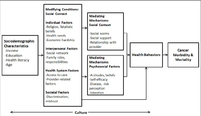 Figure 3.1. Application of the social contextual framework  