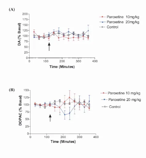 Figure 3.1. The effect of acutely administered paroxetine on extracellular levels of 