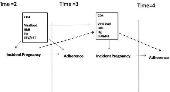 Figure 3.1. Simplified directed acyclic graph (DAG) of causal model for the effect of  incident pregnancy on the risk of non-adherence