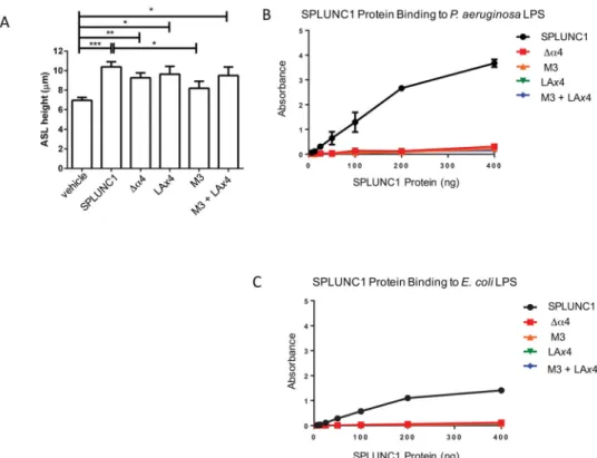 Figure 4. Impact of SPLUNC1 Variants on ASL and on LPS Binding