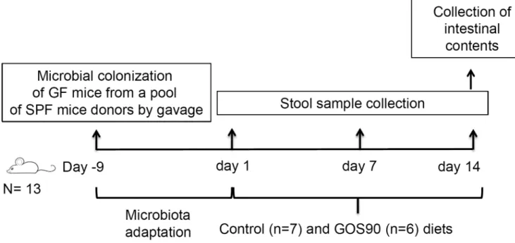 Figure 1. Study experimental design