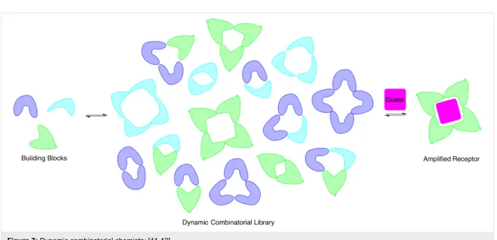 Figure 7: Dynamic combinatorial chemistry [41,42].