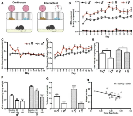 Figure 1. Intermittent daily access to HFD promotes large, rapid consumption