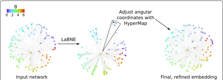 Fig. 2 LaBNE+HM. An undirected, unweighted, single-component network with scale-free node degreedistribution and strong clustering can be input to LaBNE+HM to reveal the hyperbolic geometry underlyingit