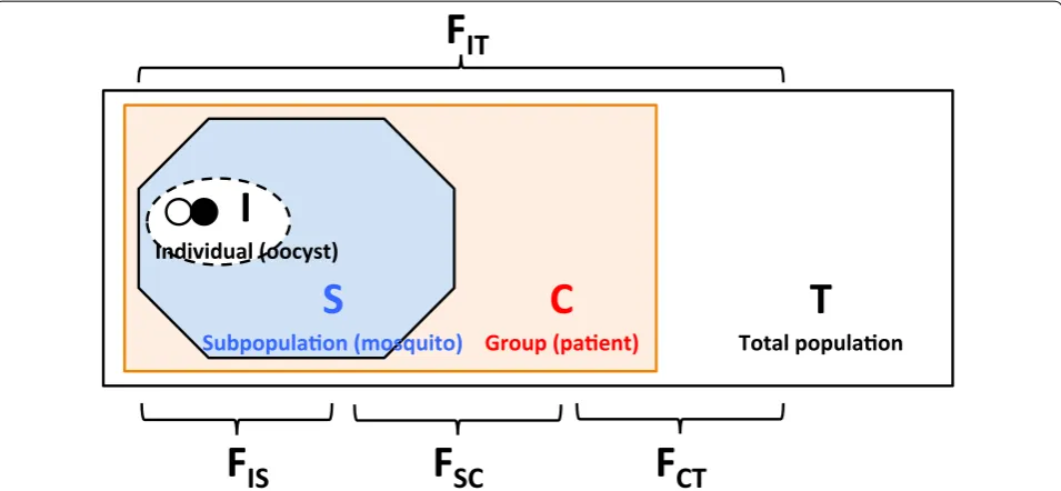 Fig. 1 Overall scheme of populations and hierarchical F-statistics. See text and Appendix for further details