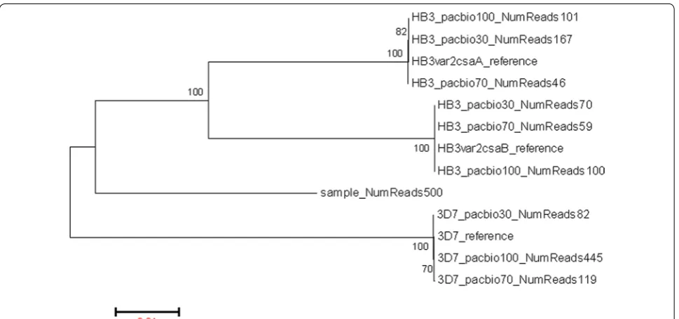 Table 1 Comparison between  reconstructed PacBio sequences and  the respective reference var2csa alleles in  3D7 and HB3