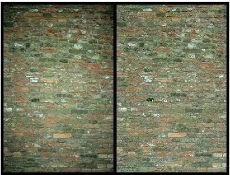 Figure 2.2: Vignetting Effect. (Top) Image taken with (left) a large aperture (f/1.4) and (right) a small aperture (f/5.6)